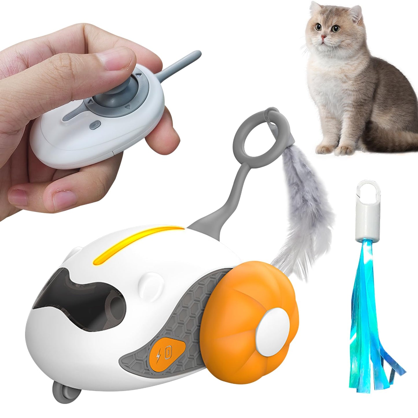 Fun Interactive Cat Toy