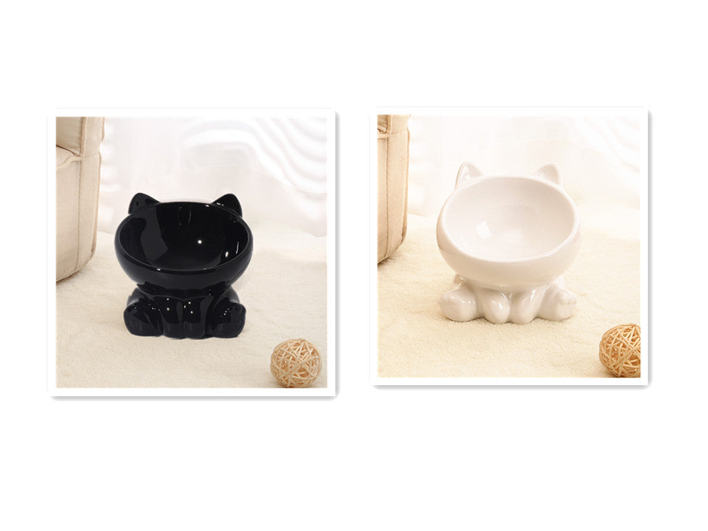 Ceramic Pet Bowl with Neck Guard