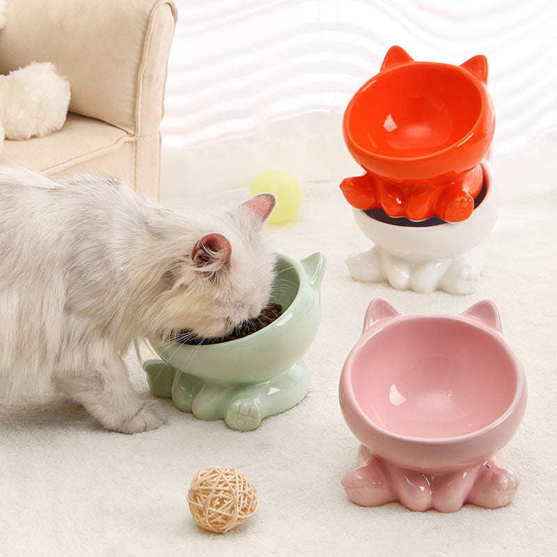 Ceramic Pet Bowl with Neck Guard