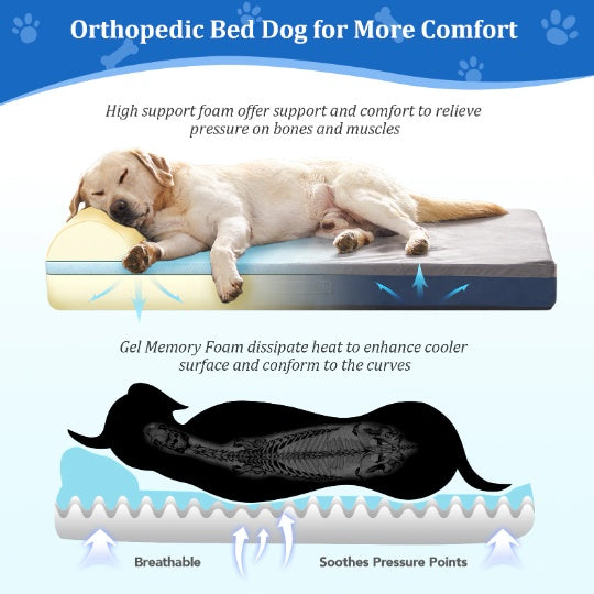 Comfy Large Orthopedic Dog Bed