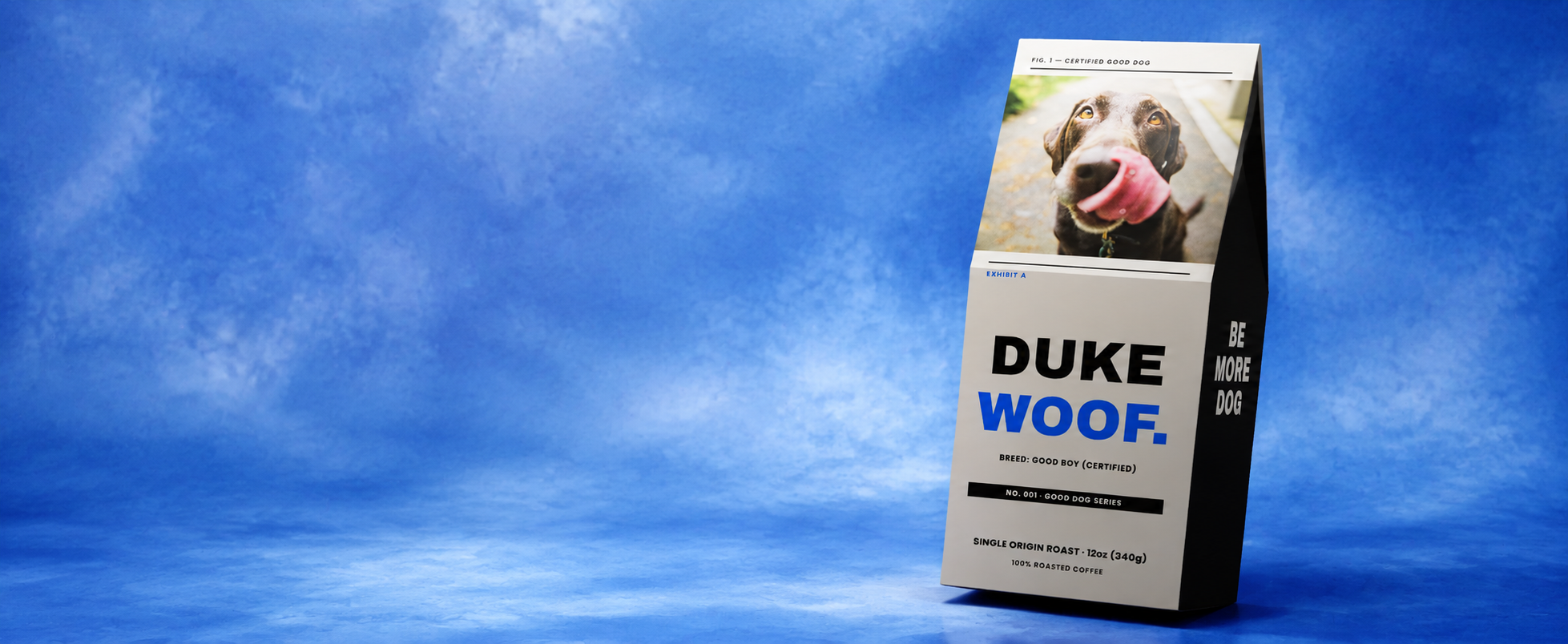 Everyday favorites for pets and their people