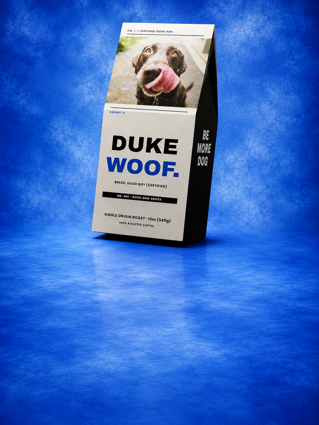 Everyday favorites for pets and their people