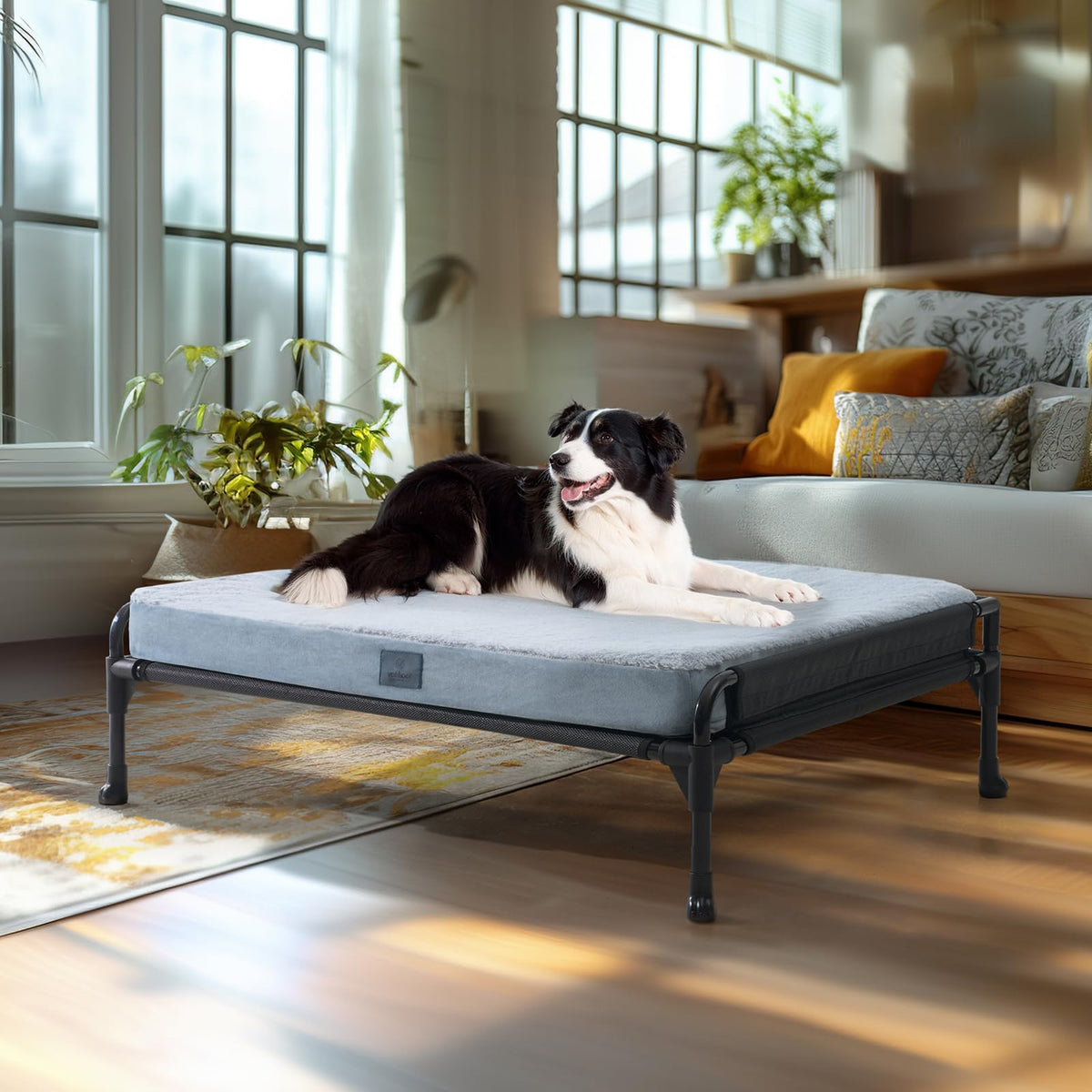 CoolBreeze Elevated Large Dog Bed with Guardrails