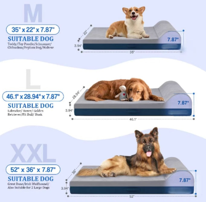 Comfy Large Orthopedic Dog Bed